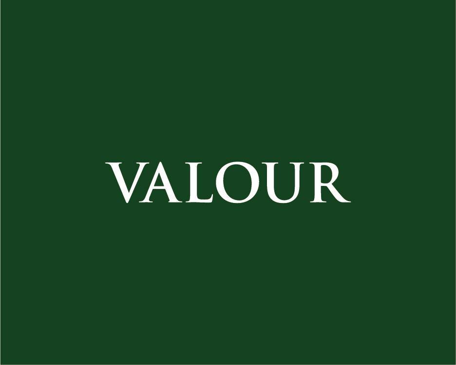 Valour Group