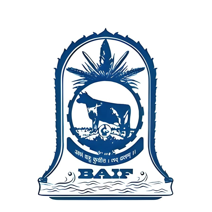 Baif Development Limited