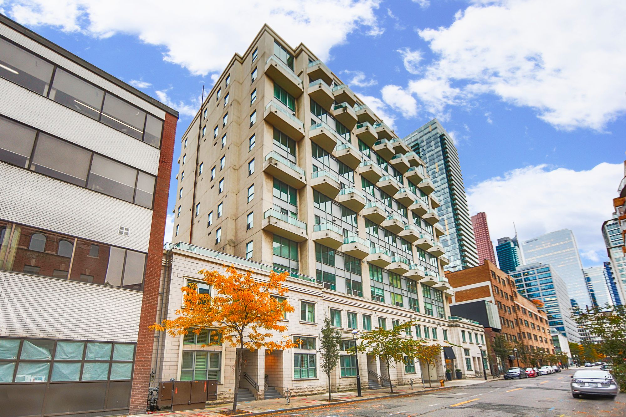 77 Lombard St Absolute Lofts 3 Condos for Sale & 1 Unit for Rent