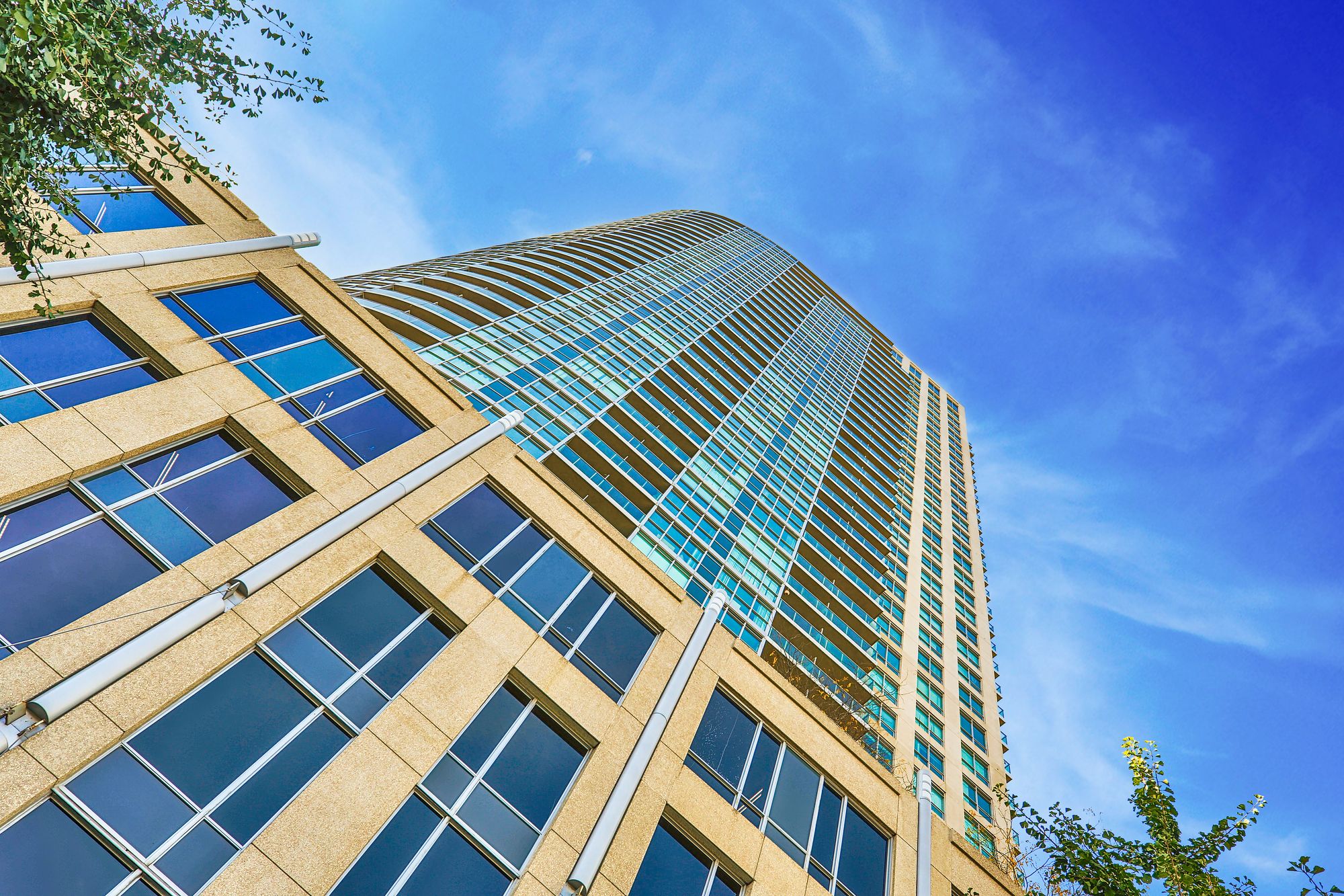18 Yonge St 18 Yonge 7 Condos for Sale & 5 Units for Rent strata.ca