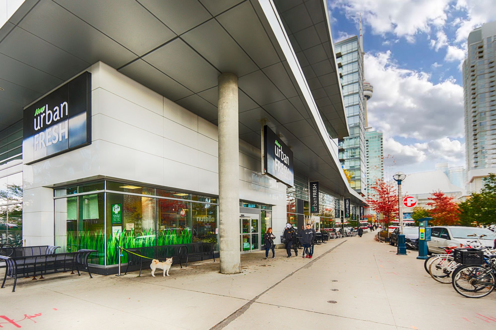 25 Telegram Mews Montage 8 Condos for Sale & 8 Units for Rent strata.ca